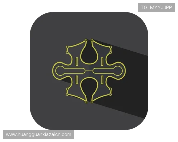 皇冠游戏辅助多平台兼容，支持多款热门游戏辅助需求